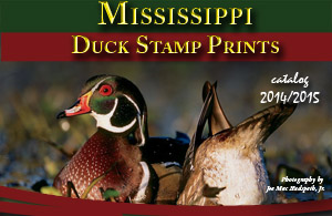Duck Stamp Catalog